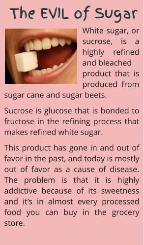 White sugar, or sucrose, is a highly refined and bleached product that is produced from sugar cane and sugar beets. Sucrose is glucose that is bonded to fructose in the refining process that makes refined white sugar.  This product has gone in and out of favor in the past, and today is mostly out of favor as a cause of disease. The problem is that it is highly addictive because of its sweetness and it’s in almost every processed food you can buy in the grocery store.      The EVIL of Sugar
