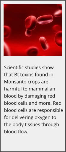 Scientific studies show that Bt toxins found in Monsanto crops are harmful to mammalian blood by damaging red blood cells and more. Red blood cells are responsible for delivering oxygen to the body tissues through blood flow.