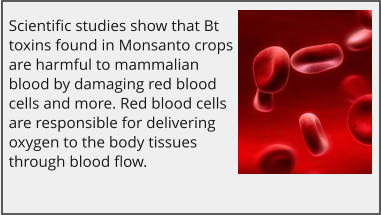 Scientific studies show that Bt toxins found in Monsanto crops are harmful to mammalian blood by damaging red blood cells and more. Red blood cells are responsible for delivering oxygen to the body tissues through blood flow.